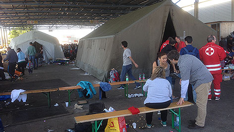 Nickelsdorf Flüchtlinge