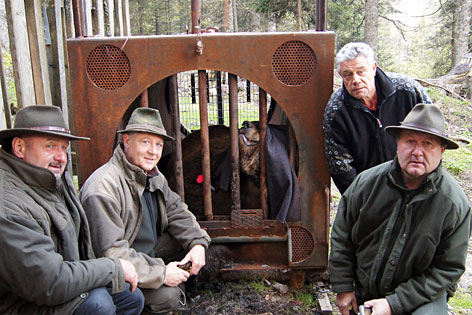 Bär Gefangen Egger Alm PK Herwig