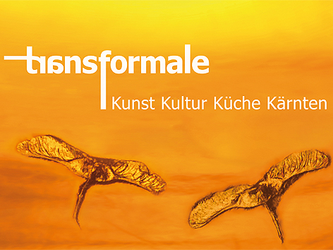 © Transformale Logo Transformale