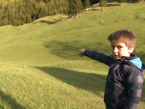 Bär Bodental Loiblpass Bienenstöcke