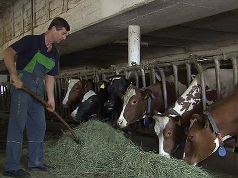 Bio Bauernhof Familie Erlacher Blutprobe HCB