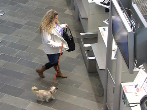 Hund Flughafen