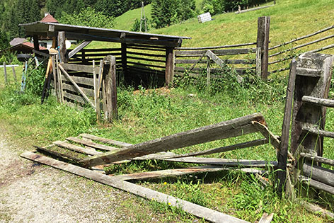 Bär Riss Schaf Stockenboi Feldbachklamm Rudolf