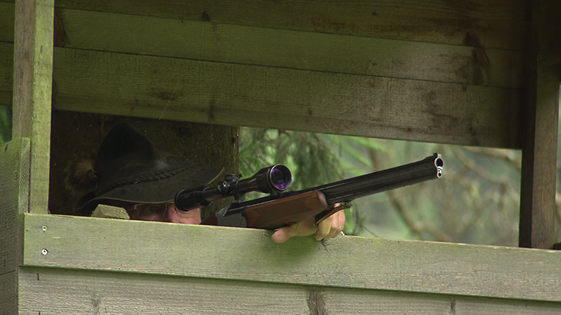 Jagd Jäger Darmann