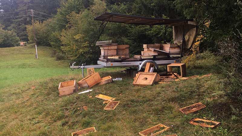 © Privat Bär Bienestöcke St Margareten Rosental