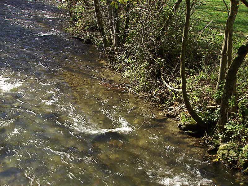 Fischotter Bestand Verdoppelt