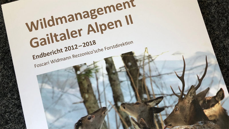 © Horst Leitner Wildmonitoring Füttern aufgehoben Foscari