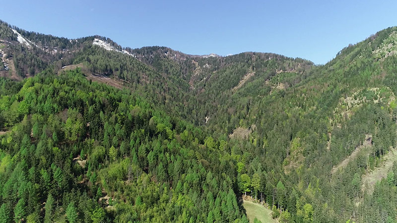 © ORF Wildmonitoring Füttern aufgehoben Foscari