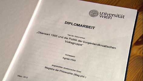 Diplomsko djelo