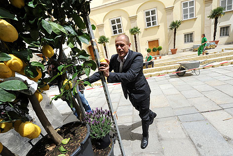 © APA/Herbert Pfarrhofer Life Ball: Deko im Schweizer Hof